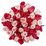 Roses, 48 Stems - Hot Pink & Pink
