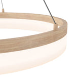 Artika Optical Ring LED Pendant Light Fixture