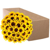 Sunflowers, 50 Stems