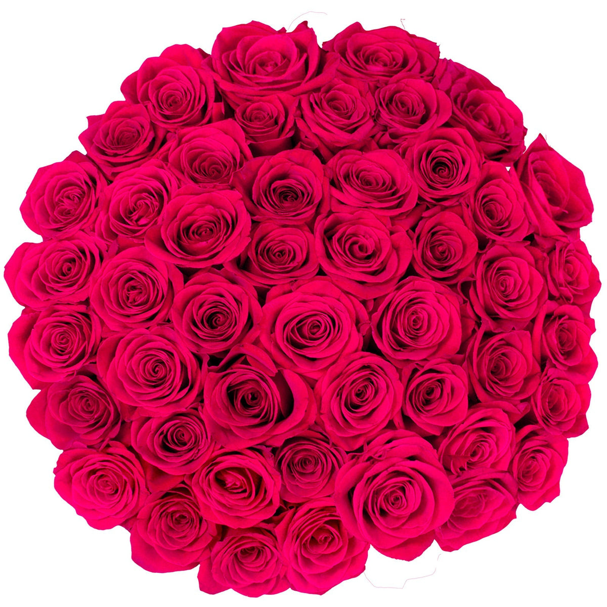 Roses, 48 Stems - Dark Pink