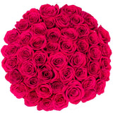 Roses, 48 Stems - Dark Pink