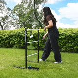 Vivere - Ladder Golf, Extreme Metal Tournament Edition