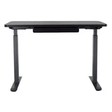 Motionwise 121.9 cm x 61 cm (48 in. x 24 in.) Height Adjustable Desk