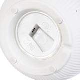 Evergreen LED Porcelain Lantern, 2-piece