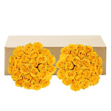 Roses, 48 Stems - Yellow
