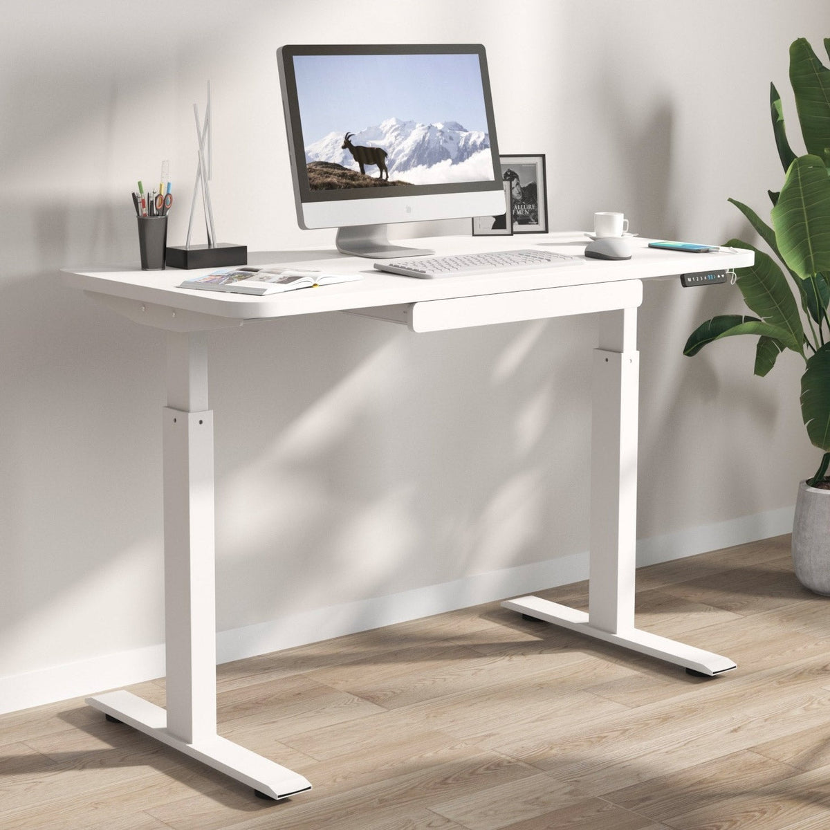 Motionwise 121.9 cm x 61 cm (48 in. x 24 in.) Height Adjustable Desk