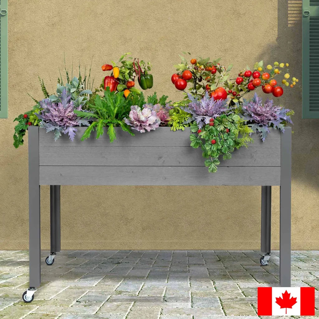 CedarCraft 81 cm (32 in.) Self-watering Elevated Planter