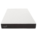 Cocoon by Sealy 25.4 cm (10 in.) Memory Foam Double Mattress