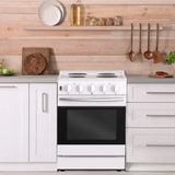 Element 24 in. 3.7 cu ft. Electric Range