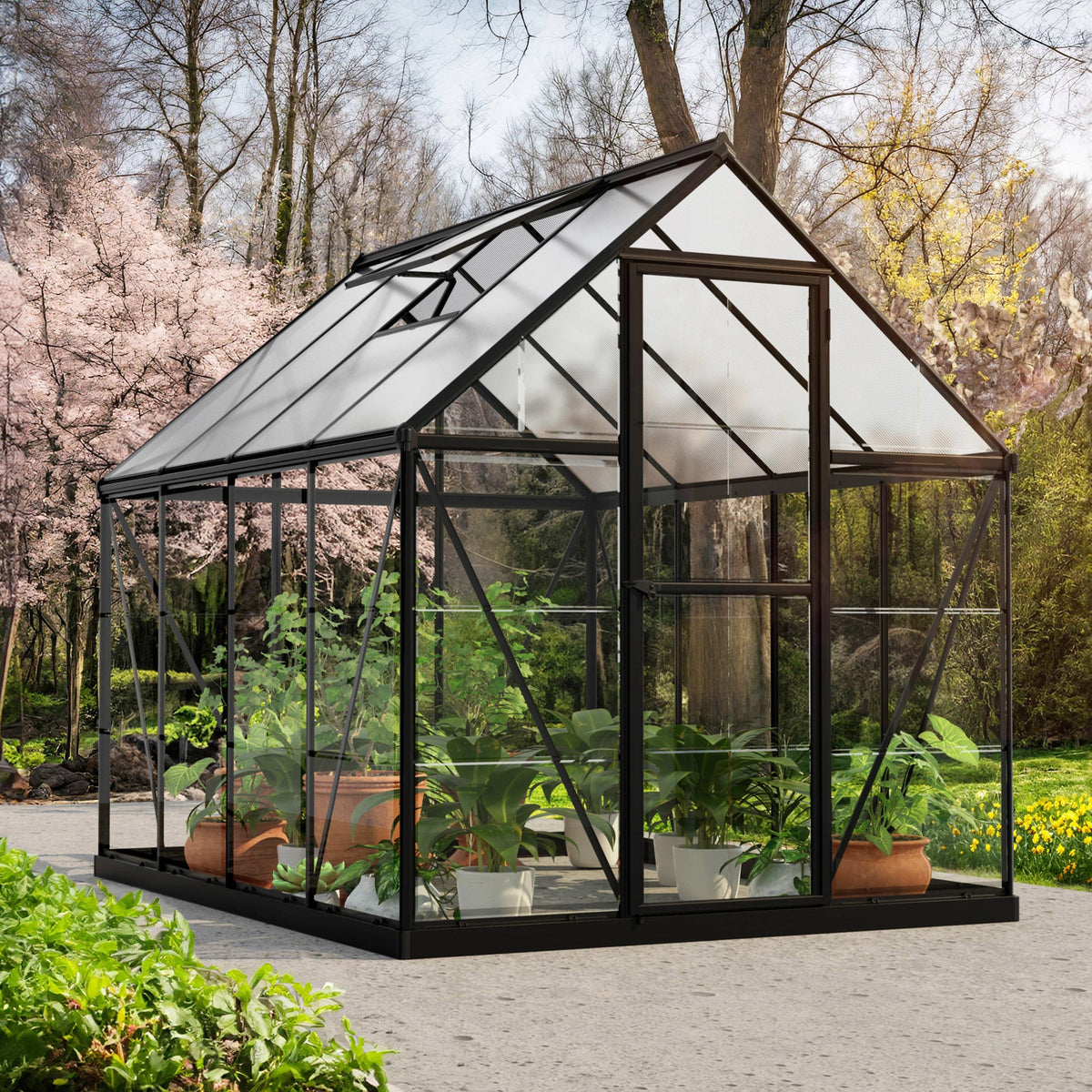 Canopia by Palram 6 ft. x 8 ft. Hybrid Greenhouse