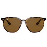 Ray-Ban 0RB4306 Polarized Sunglasses