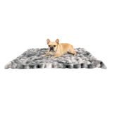 Life Comfort Luxury Pet Blanket, 40 in. x 50 in.
