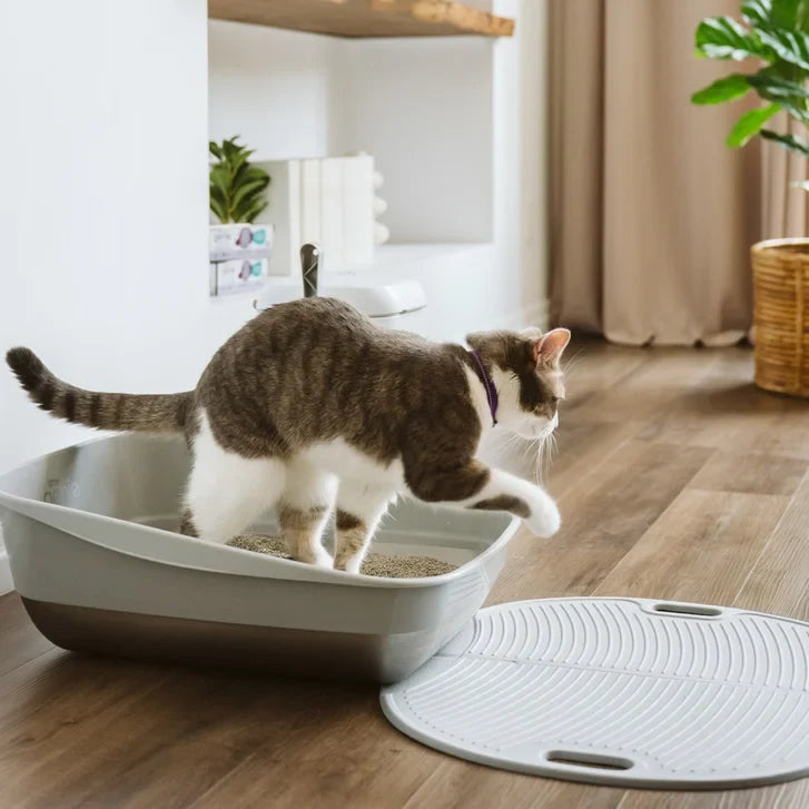 Litter Genie Platinum Stainless Steel Litter Box and Mat Bundle