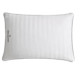 Beautyrest Platinum Feather and Down Pillow, 2-pack