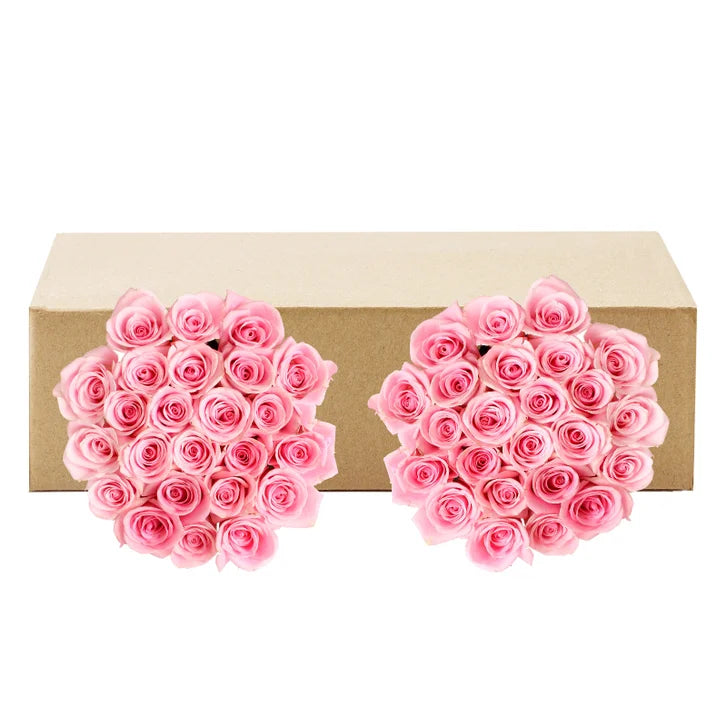 Roses, 48 Stems - Pink