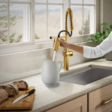 Kohler Haku Semi-Pro Pull-down Kitchen Faucet
