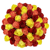 Roses, 48 Stems - Sunset Trio
