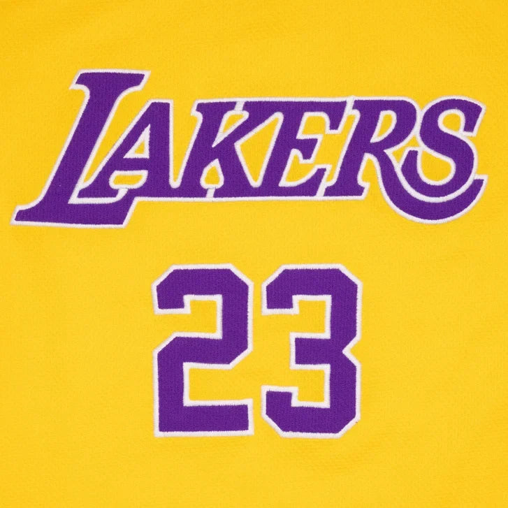 NBA Lebron James Los Angeles Lakers Jersey