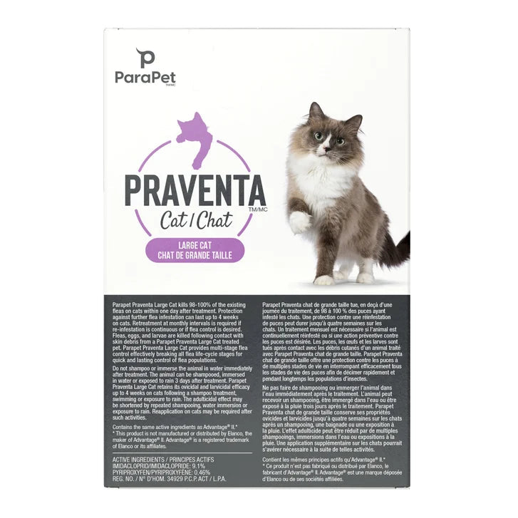 Parapet Praventa Flea Protection for Large Cats over 4kg, 6 Tubes