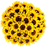 Sunflowers, 50 Stems