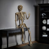 Halloween - 2 m (7ft) Poseable Skeleton