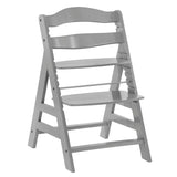 Hauck Alpha+ Highchair Set