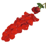 Bulk Rose Petals, Over 3,000 Petals