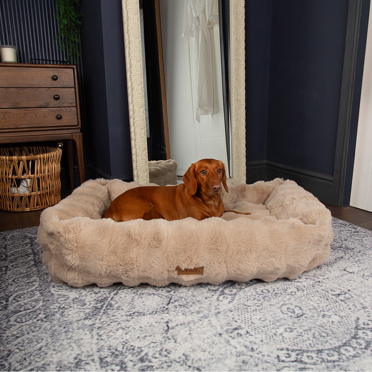 Scruffs Alpine Dog Bed 35 in. x 28 in.