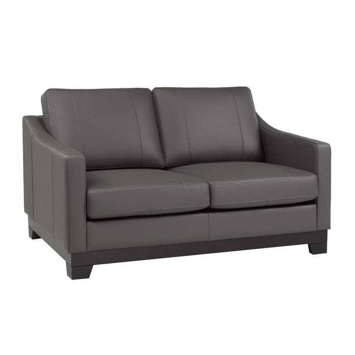 Omni Top-grain Leather Sofa, and Loveseat