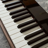 Casio Privia PX-S6000 88-Key Smart Hybrid Hammer Action Keyboard