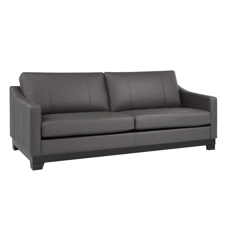 Omni Top-grain Leather Sofa, and Loveseat