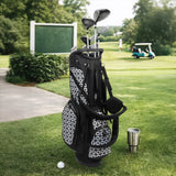 Nancy Lopez Fairways 11-club Women's Golf Set Package with Stand Bag