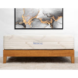 NSC Medical Pressure Balance Latex Mattress