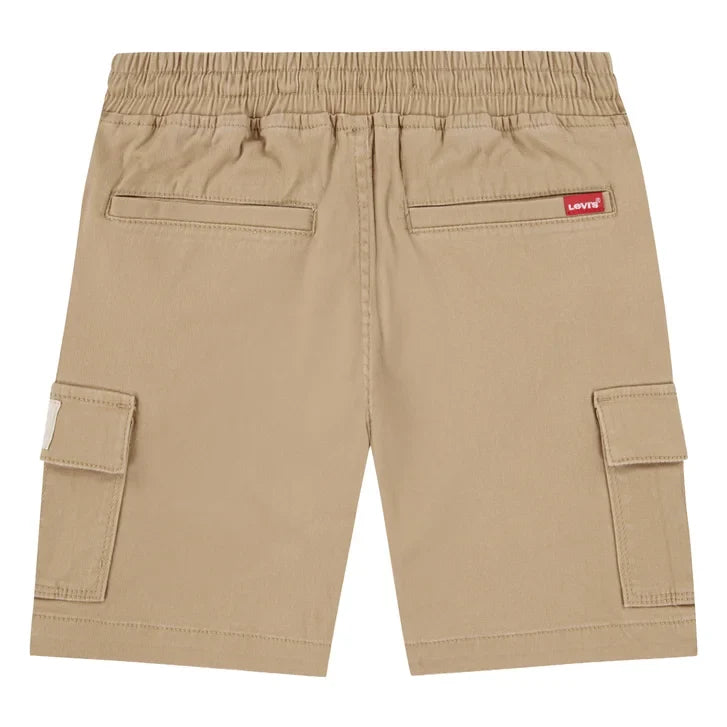 Levi's Kids Assorted Shorts