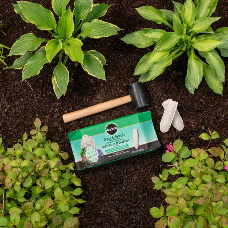 Miracle-Gro Tree & Shrub Fertilizer Spikes 15-5-10, 4 packs of 10