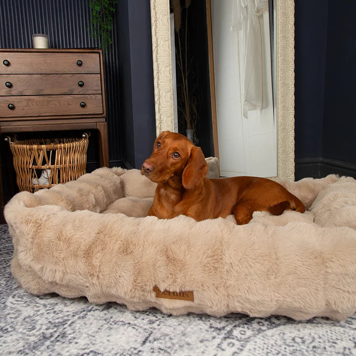 Scruffs Alpine Dog Bed 35 in. x 28 in.