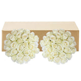 Roses, 48 Stems - White