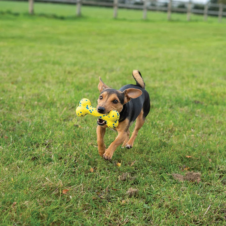 Zeus Nitro Dog Toy Bundle, 3-pack
