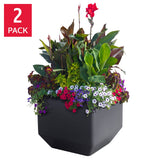 Versa 40.6 cm (16 in.) Square Self-watering Planter, 2-pack